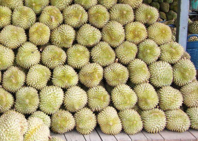 durian monthong