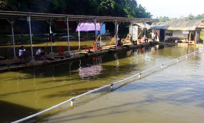 kolam pemancingan