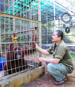 cikananga wildlife center