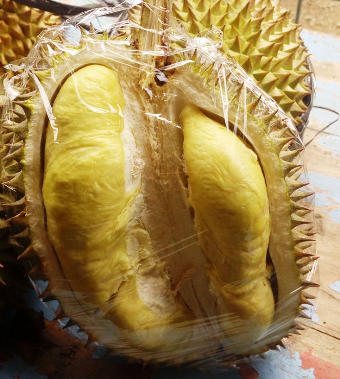 durian