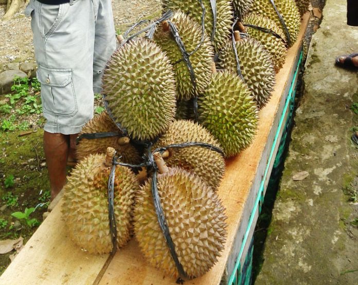 durian