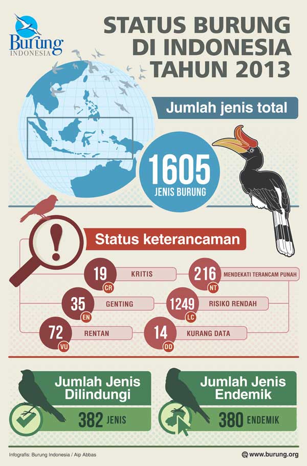 Burung-Indonesia-Infografis