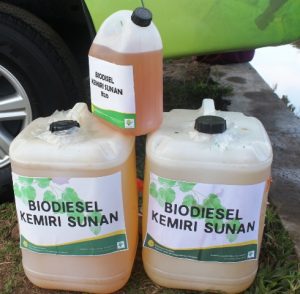 biodiesel