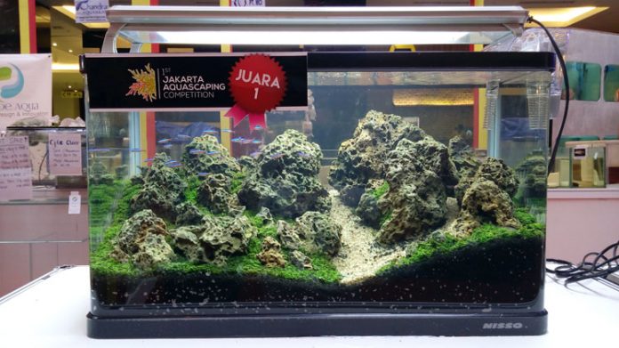 aquascaping