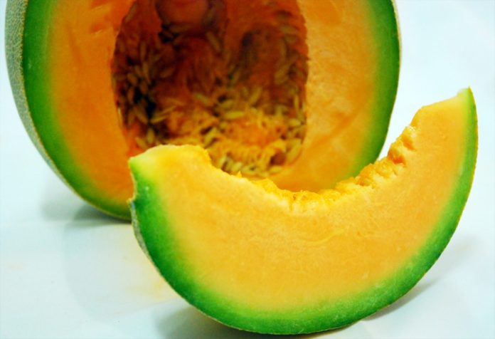 melon