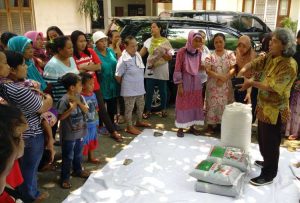 pelatihan tanaman obat