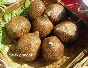 salak pondoh