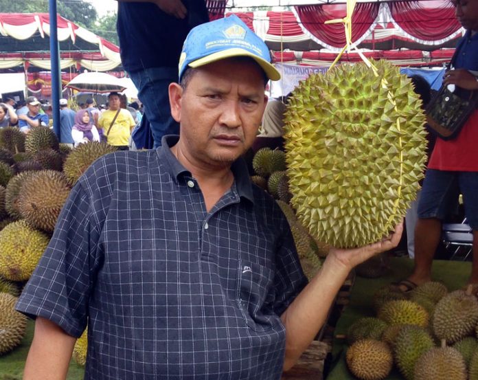 durian gudel