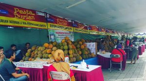 pesta durian 2016