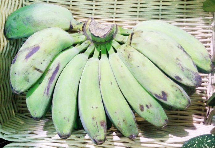 pisang kepok