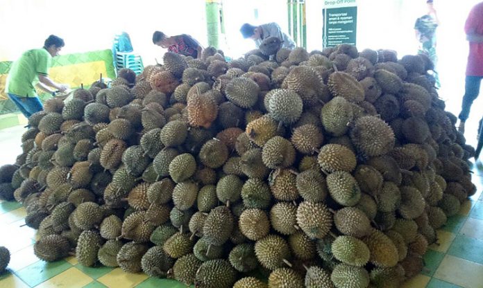 ucok durian