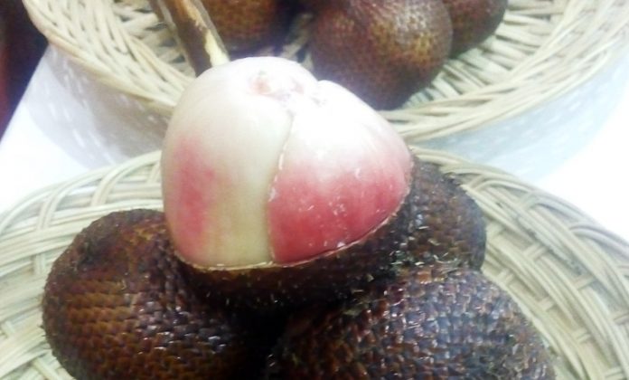 salak merah