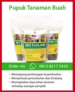 pupuk bbs foslam